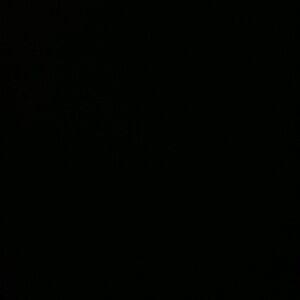 Meet your Posher, Zavaya